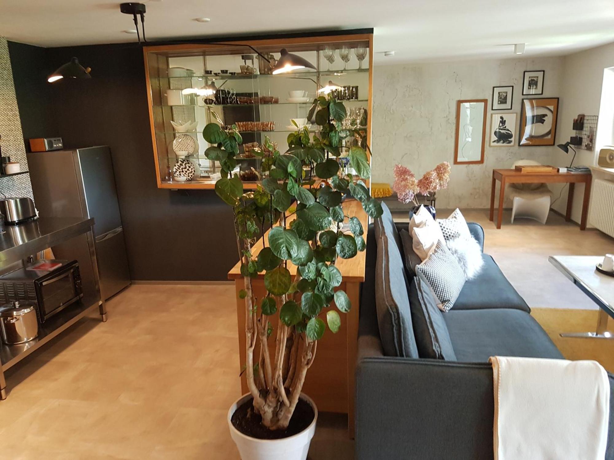 Exklusiver Souterrain - Zentral, Ruhig Mit Grosser Terrasse, Bergblick Und Privaten Sauna Zzgl Apartment